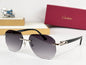 Cartier Sunglasses-CT0583S